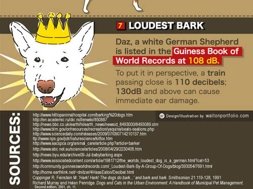 Dog Records and Awards, Guinness Book