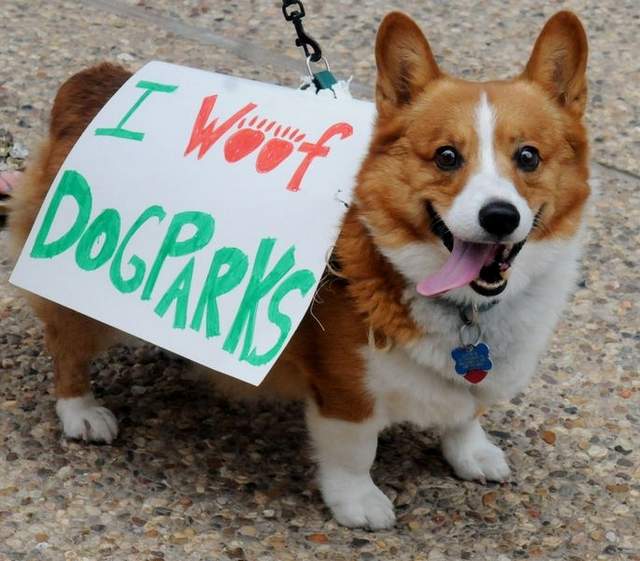 Dog Off-Leash Parks Finder, Etiquette, Rules