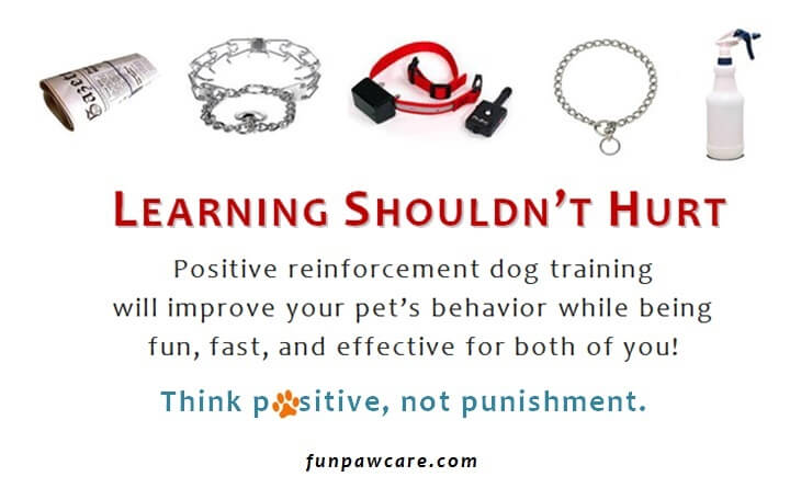 DO NOT HURT YOUR DOG FOR TRAINING REASONS!