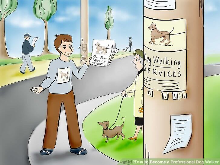 TIPS FOR PROFESSIONAL DOG WALKER