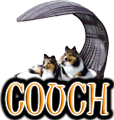 DOG BED & COACH - DOGICA®