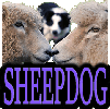 SHEEPDOGS & FARM DOGS