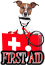 DOG FIRST AID - DOGICA®