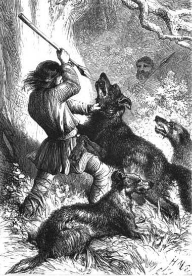 WOLF HUNTING WITH DOGS