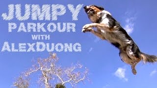 WATCH DOG & PUPPY VIDEO !!!