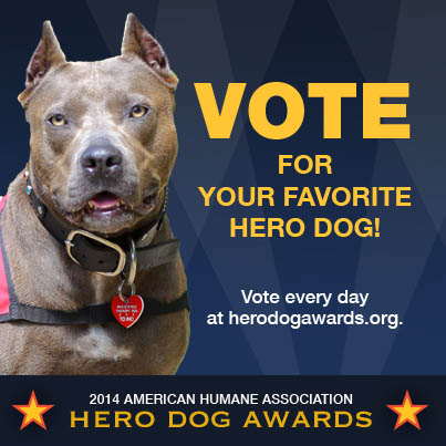 Dog Hero Awards
