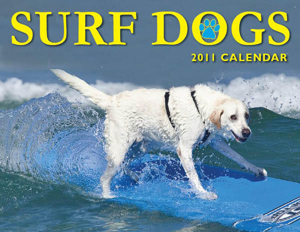 surfing dogs calendars
