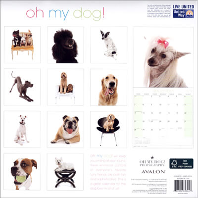 BEST DOG and PUPPY CALENDARS 2014, 2015, 2016, 2017, 2018, 2019, 2020