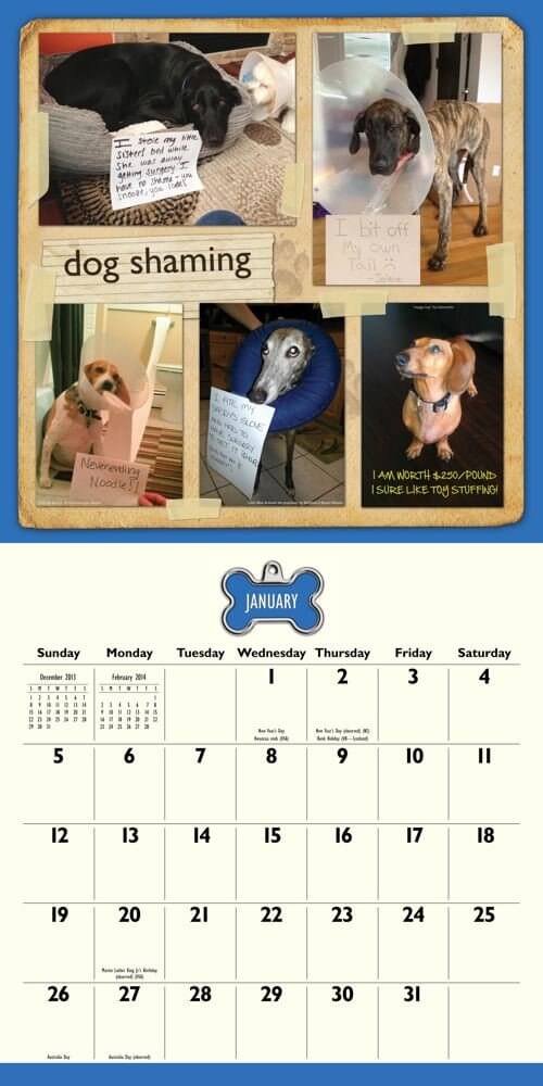 DOG and PUPPY CALENDARS