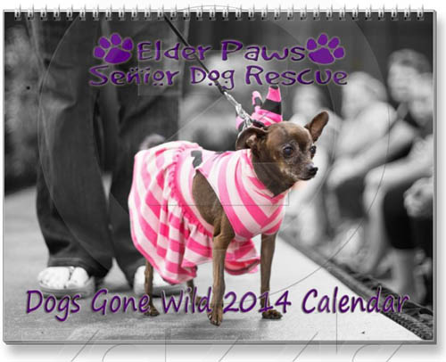 DOG and PUPPY CALENDARS 2015, 2016, 2017, 2018, 2019, 2020