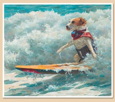 surfing dogs