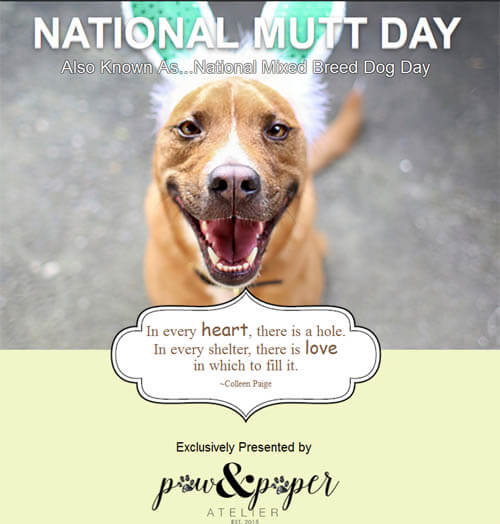 NATIONAL MUTT MIXED BREED DOG DAY