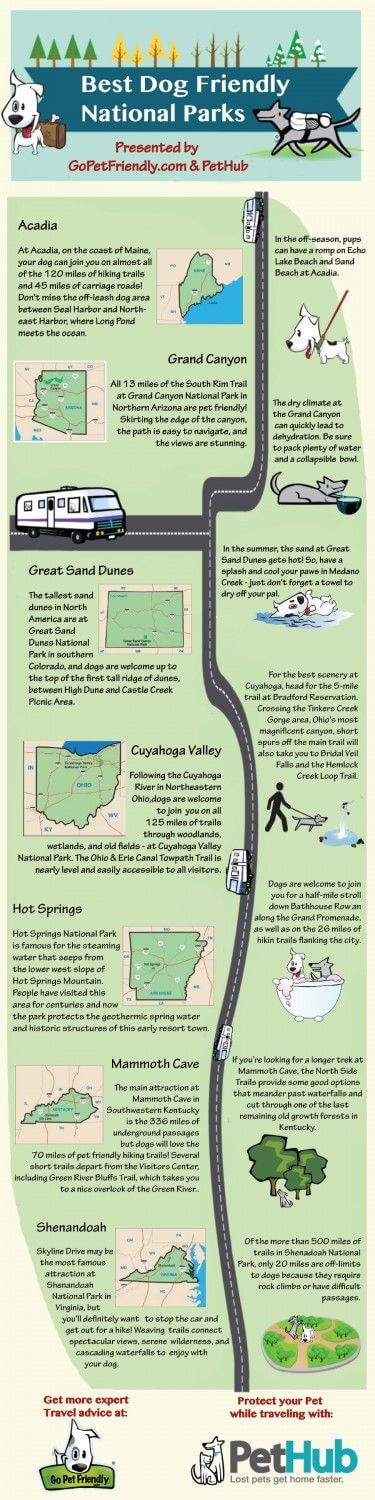 BEST DOG PARK INFOGRAPHICS, INFOGRAM, LIST