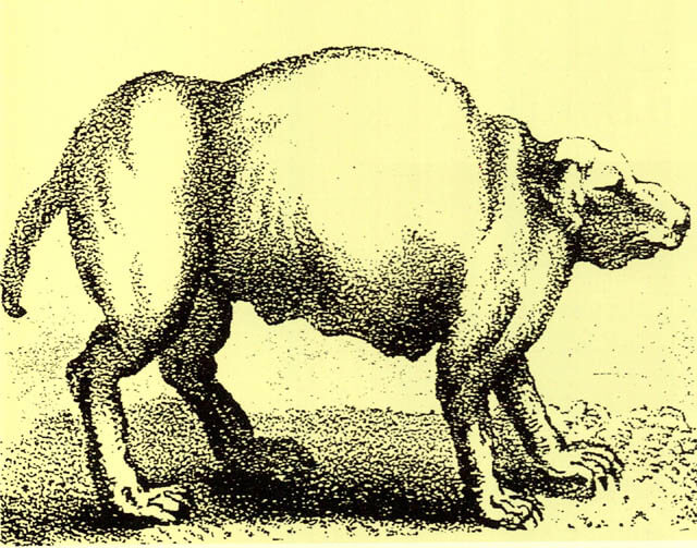 A 19th-Century engraving of the enigmatic but seemingly extinct izcuintlipotzotli - Quasimode Dogs Videos, Companion, German Shepherd