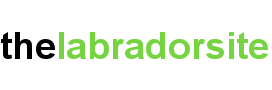 WWW.THELABRADORSITE.COM