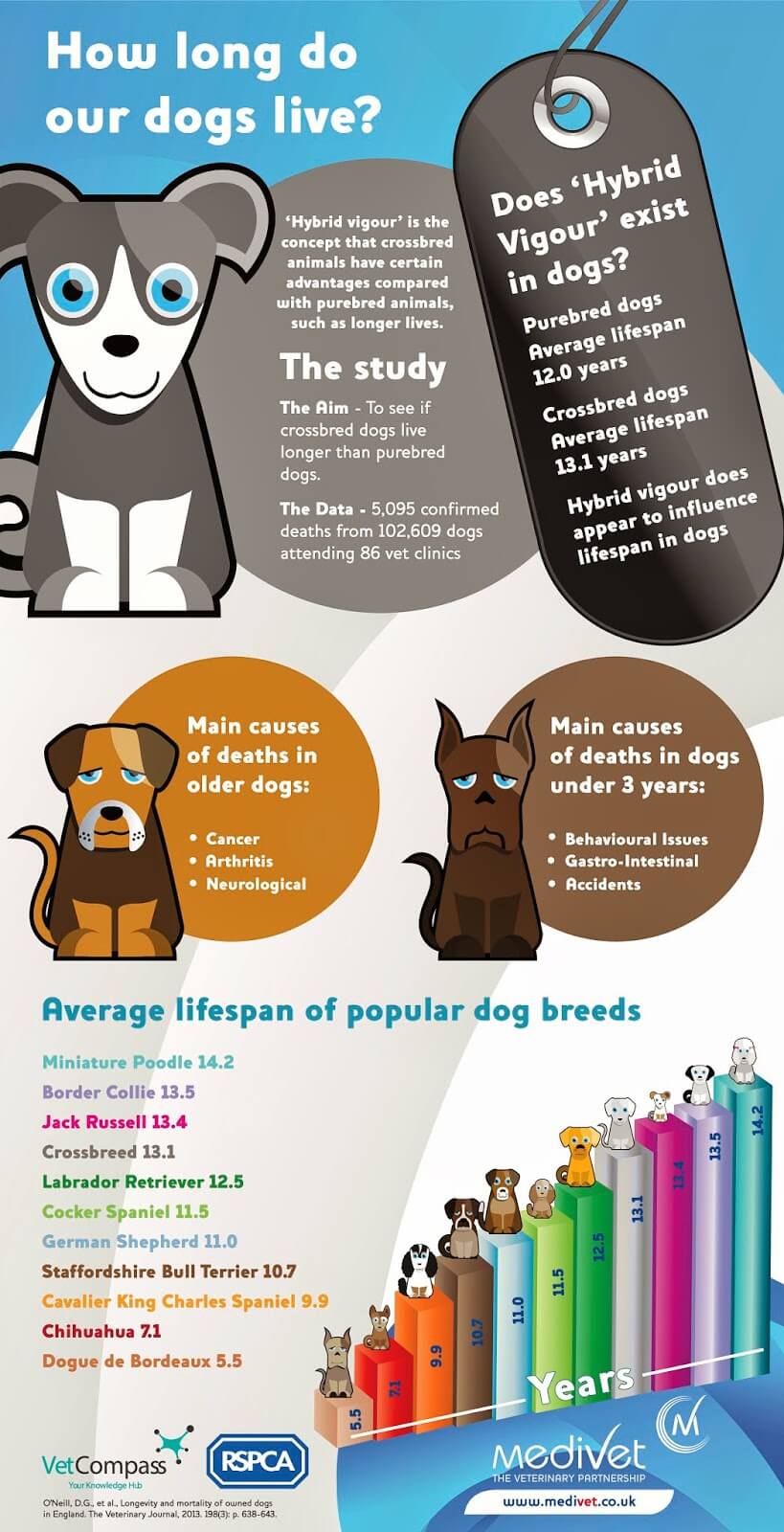 HOW LONG DOG AND PUPPY LIVE