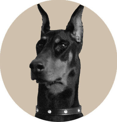 WWW.DOBERMANSDEN.COM