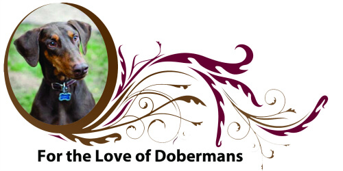 WWW.FORTHELOVEOFDOBERMANS.COM