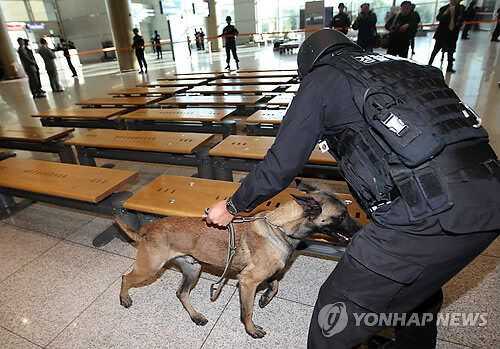 K9 Police Dogs Cloning