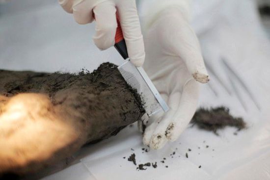 DUBBED TUMAT DOG - 12.000 YEARS OLD ANCIENT DOG MUMMY WILL BE CLONED - Photo provided to China News Service
