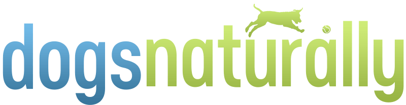 Warrior Cat Name Generator: a really fun tool - Dogalize
