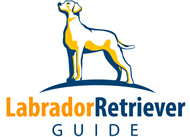 WWW.LABRADORRETRIEVERGUIDE.COM