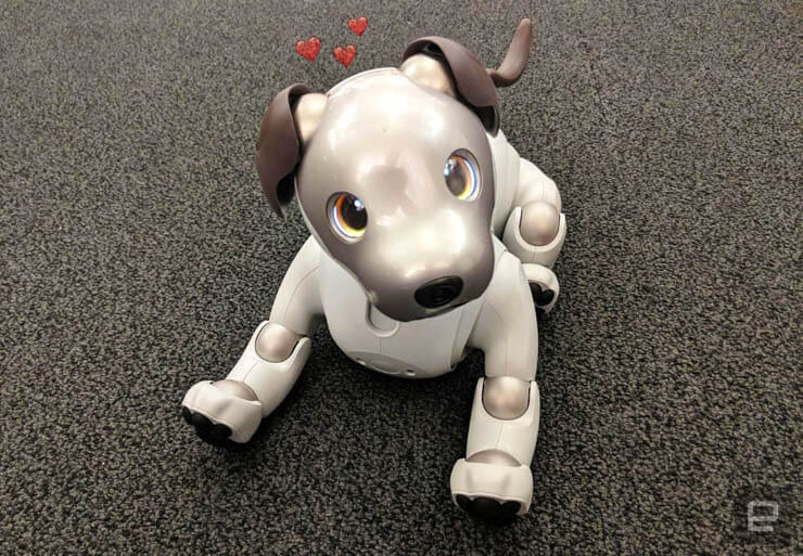 NEW Tekno Babies Robot Puppy “Lucky” Walks Barks & Knows Her Name SMART DOG 