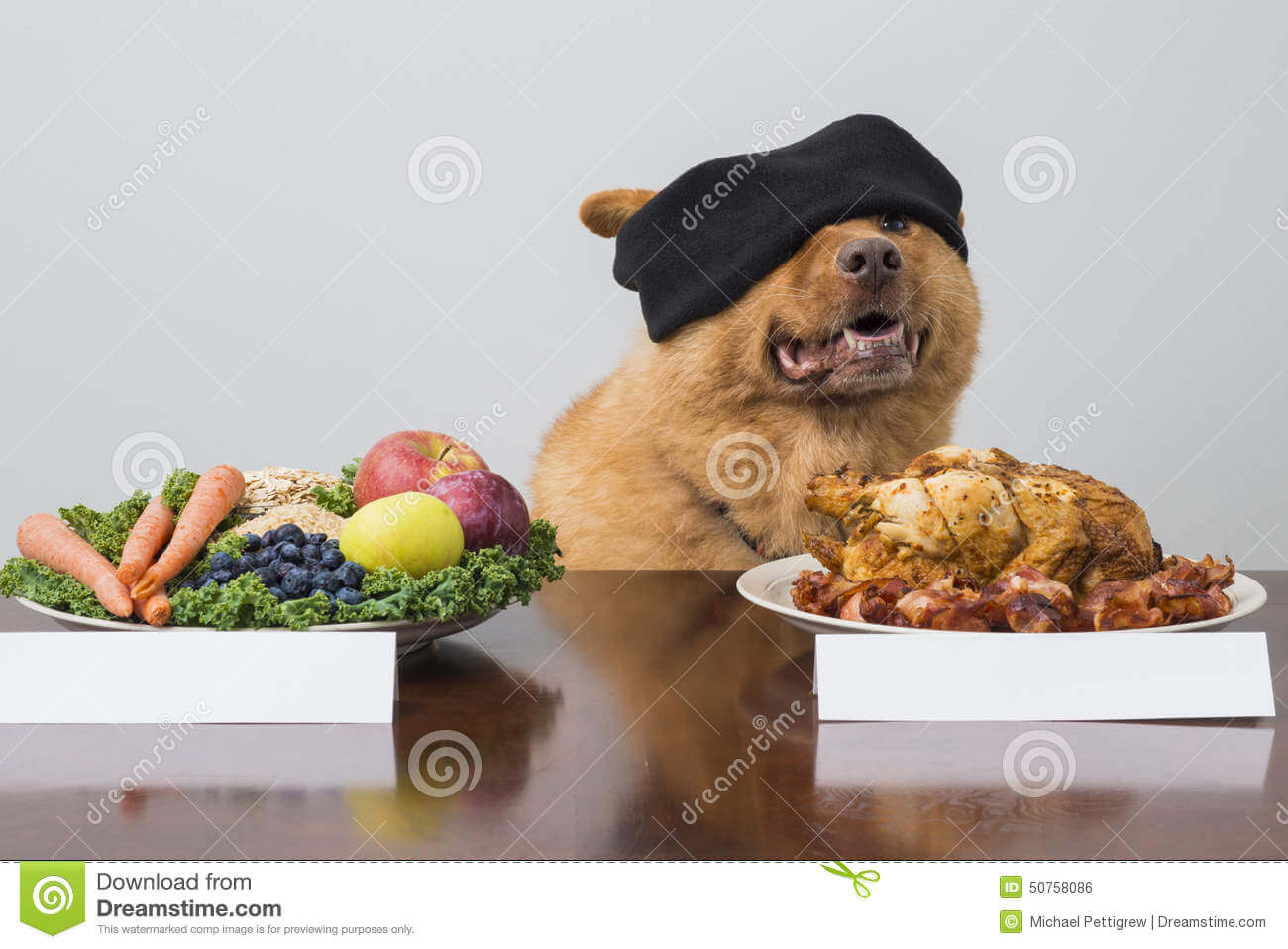 Dog & Puppy taste & flavor, Dog Flavours