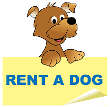 RENT A PUPPY or A DOG
