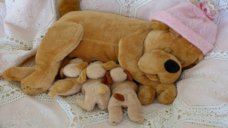 Dog and puppy toys