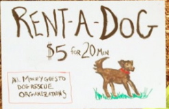 RENT A PUPPY and A DOG