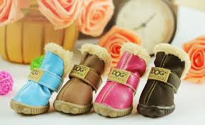 Dog Shoes and Boots Types, Styles, Sizes, Cost