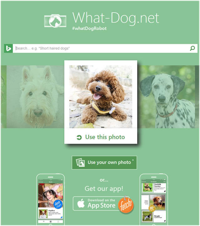 WWW.WHAT-DOG.NET