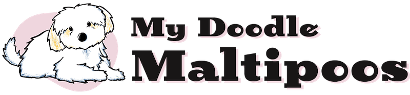 WWW.MYDOODLEMALTIPOOS.COM