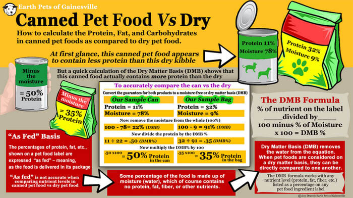 DOG FOOD TYPES