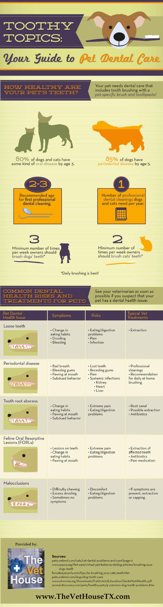 DOG TEETH, JAWS - DENTAL CARE - INFOGRAPHICS, PRESS TO SEE IN FULL SIZE!