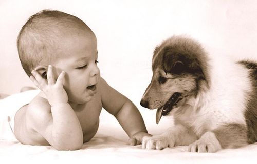 Dogs and kids, puppies and children