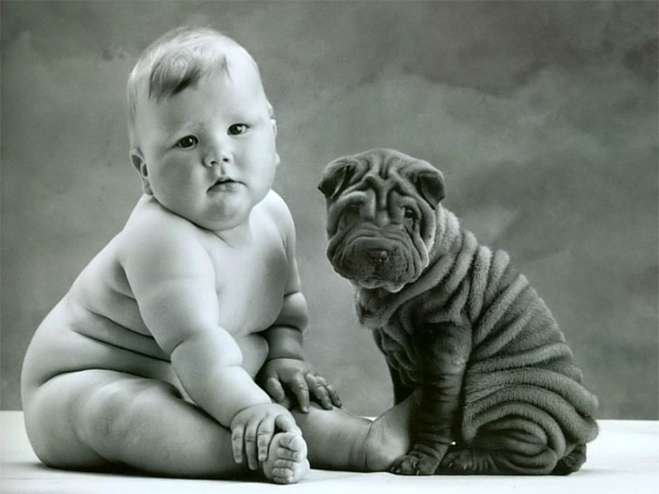 DOG AND KID