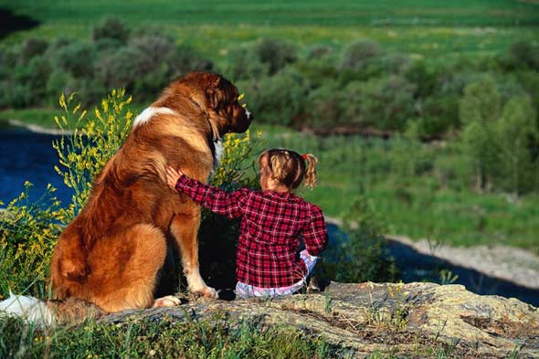 DOG AND KID