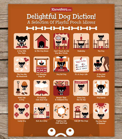 dog and puppy infograms, infographics