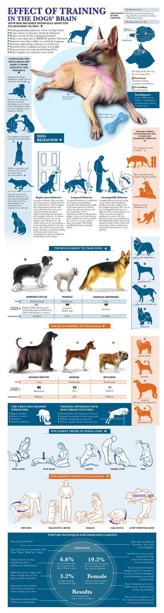 PRESS TO SEE FULL SIZED DOG BRAIN TRAINING INFOGRAPHICS