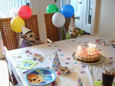 DOG PUPPY BIRTHDAY PARTY