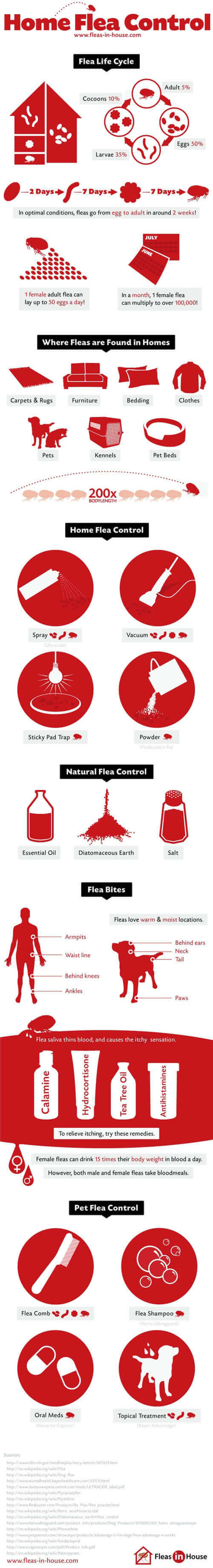 Dog Fleas, Mites and Ticks