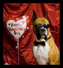 VALENTINE DOG and PUPPY CARDS and GIFTS, LOVE, WEDDING and MARRIAGE