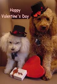 VALENTINE DOG and PUPPY CARDS and GIFTS, LOVE, WEDDING and MARRIAGE