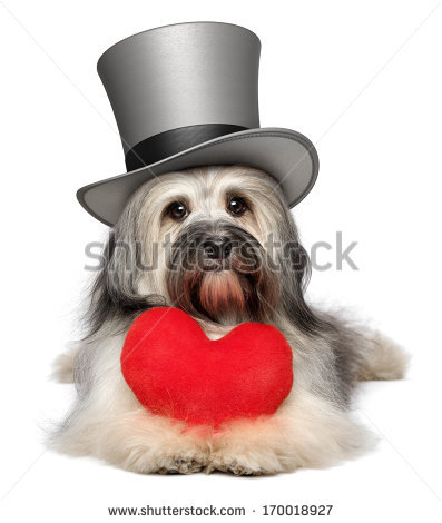 VALENTINE DOG and PUPPY CARDS and GIFTS, LOVE, WEDDING and MARRIAGE