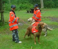 WORKING DOGS