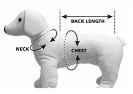 DOG SIZE, PUPPY SIZE, DOG BREEDS SIZE CHART, DOG SIZE MEASURE CALCULATOR