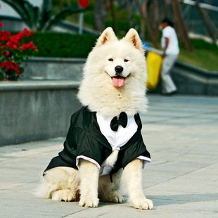 DOG COSTUMES APPAREL DRESS
