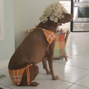 DOG COSTUME